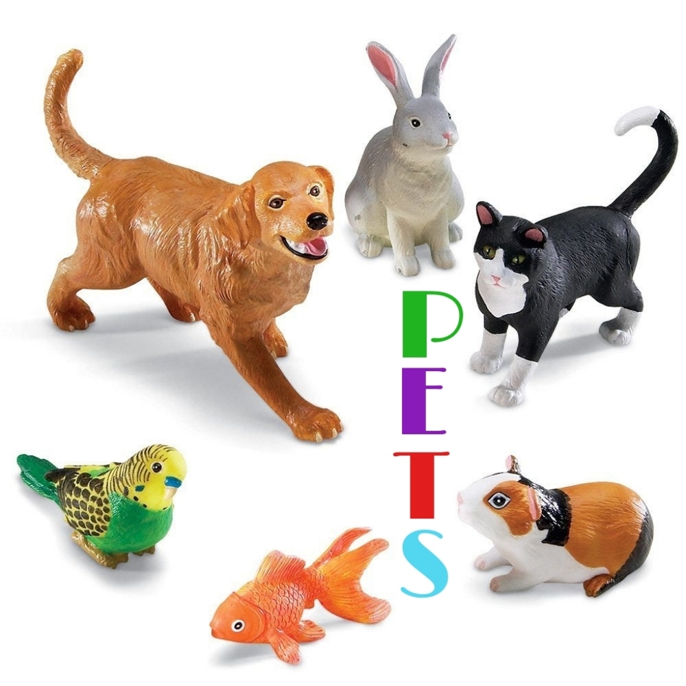 Pets